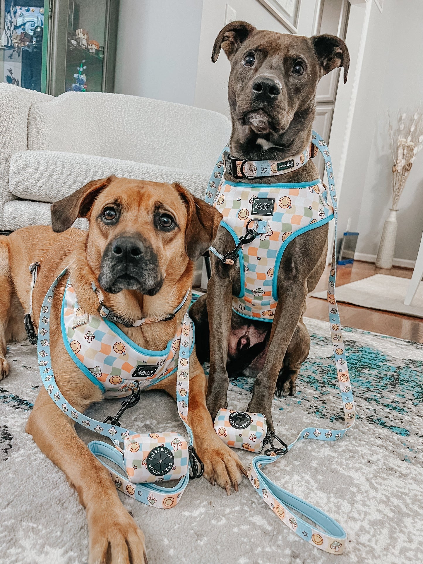 Dog Collar - Mush Love