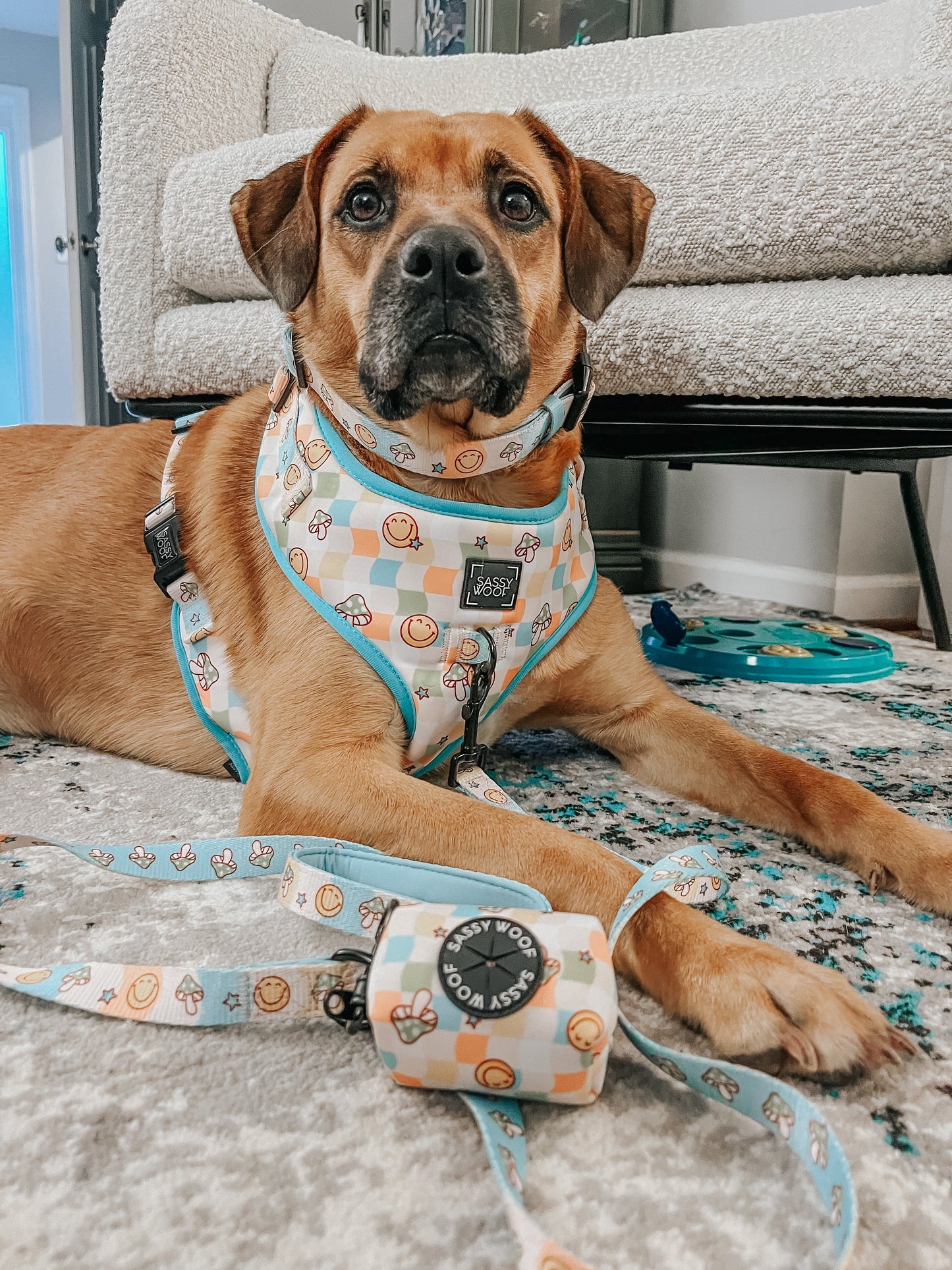 Dog Adjustable Harness - Mush Love