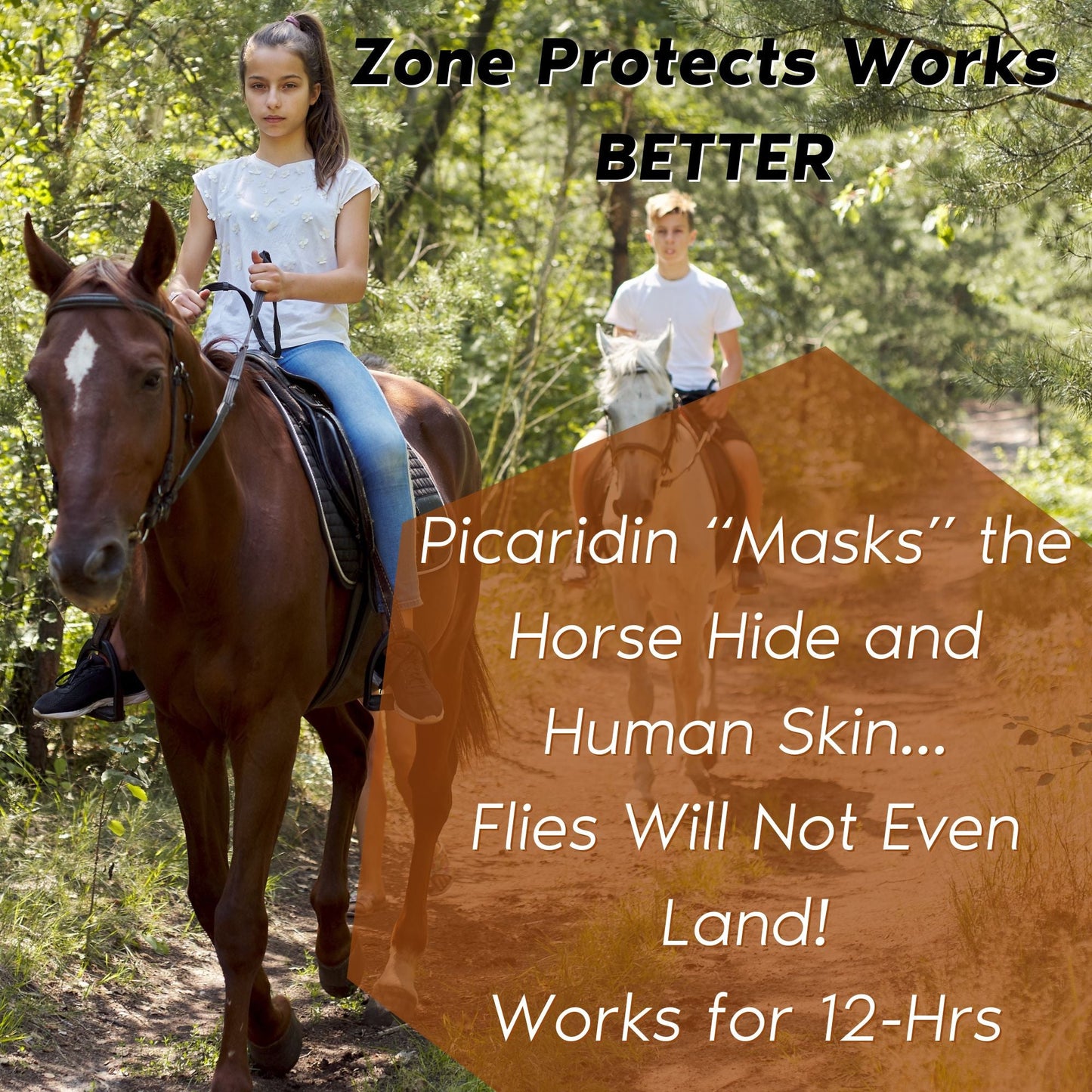 Horse & Rider Fly & Insect Repellent Spray-Refill, 32oz Bundle