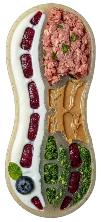 Peanut Nylon Dog Chew Toy | Ultra-Durable for Aggressive Chewers | SodaPup