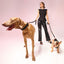 City Dog Leash - Solid Black for Small Rockstar