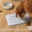 LAY LO Dog Enrichment Starter Bundle & Gift Box