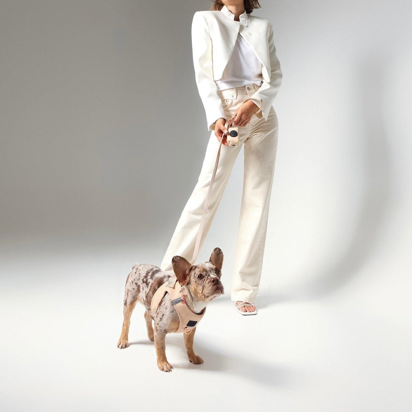 SoHo Dog Harness - Dune