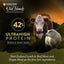 Wild Islands Highland Meats Grass-Fed Beef & Lamb Recipe Dry Cat Food