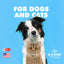 UBAVET Aloe & Oatmeal Conditioner for Dogs & Cats, 16.9 fl oz