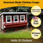 XL Chicken Coop - Up to 20 Chickens
