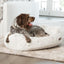Arctic Shag Napper Bed