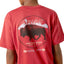 Ariat Boys Short Sleeve Tee