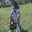 Dog Leash - Aurora