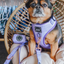 Dog Leash - Aurora