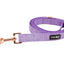 Dog Leash - Aurora