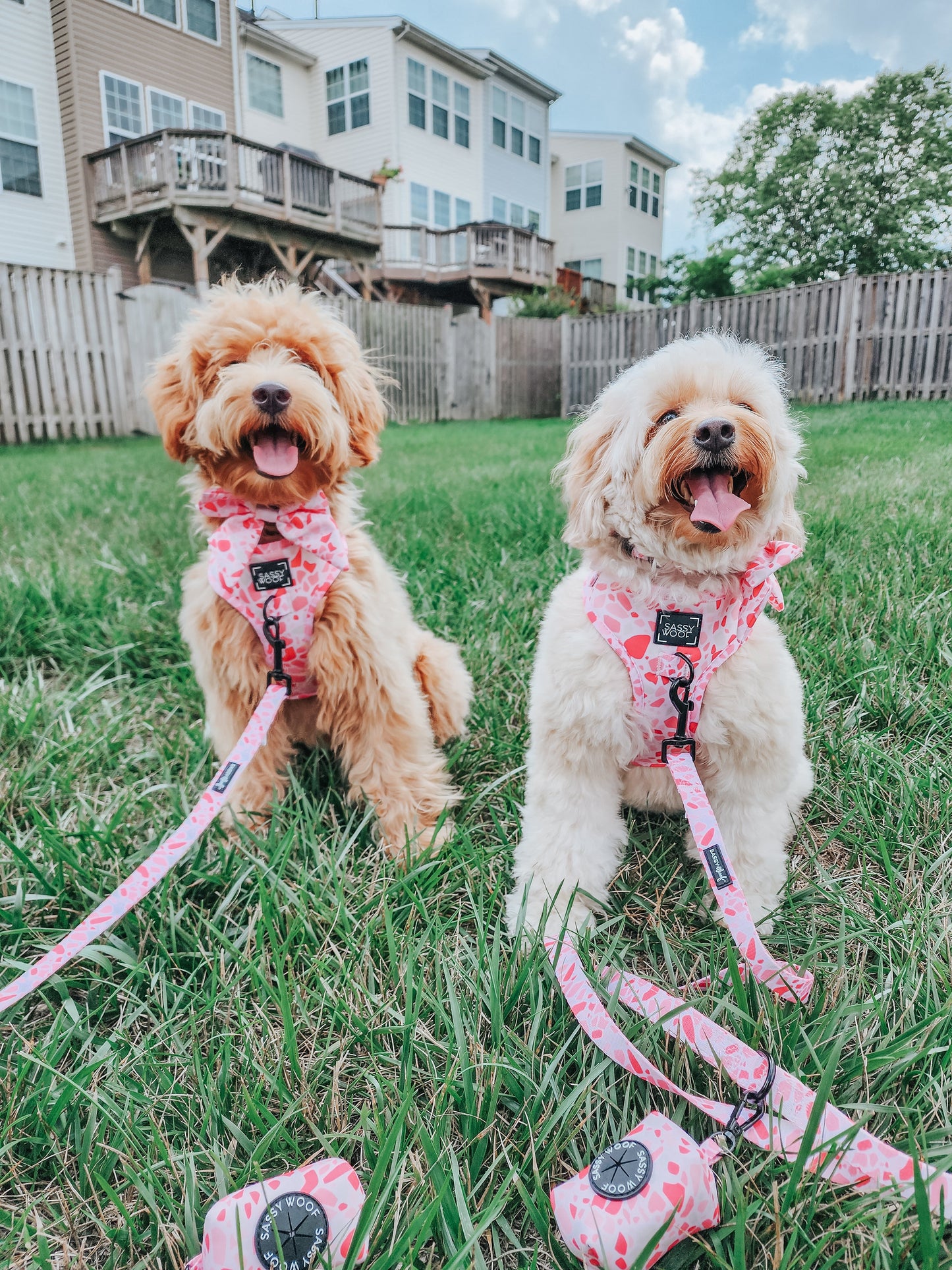 Dog Adjustable Harness - Mykonos
