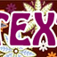 Personalized Autumn Flowers Dog Collar