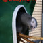Avian Haven Hut for Pet Birds