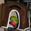 Avian Haven Hut for Pet Birds