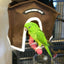 Avian Haven Hut for Pet Birds