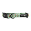 Dog Collar - Jingle Bell Guac