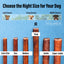 ValueBull Bully Sticks for Dogs, Thick 6 Inch, 50 Count