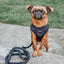 Dog Adjustable Harness - Baby Got Black