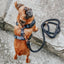 Dog Rope Leash - Noir