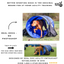 Better Sporting Dogs 10 ft Dog Agility Tunnel with Sandbags – Training Tunnel for Backyard Agility Courses