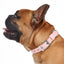 Collar Baby Pink