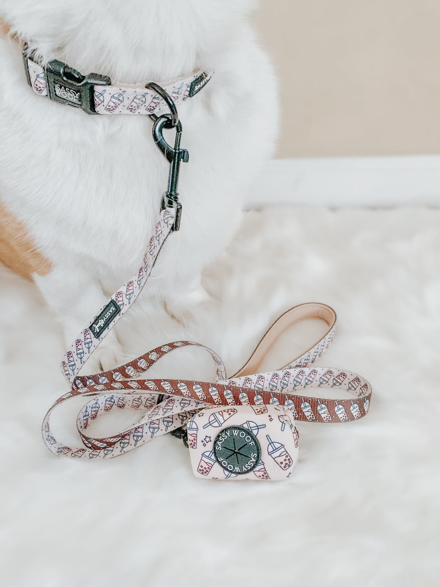 Dog Collar - Spill the Tea