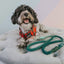 Dog Rope Leash - Hunter