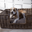 Rattan Pet Bed