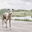 Robin Dog Collar Large - Natural