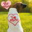 Be Mine Dog Sweater