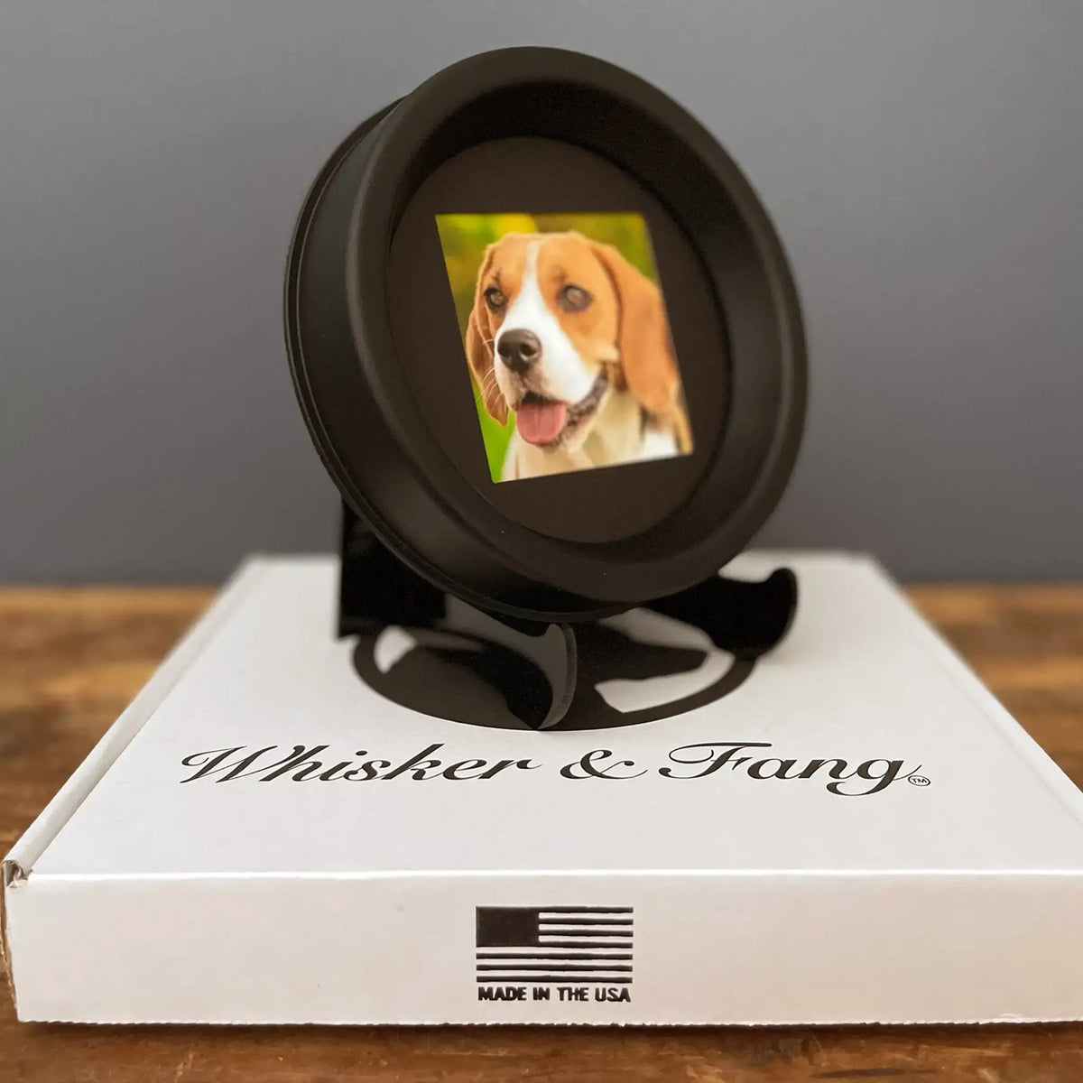 Medium Dog Collar Frame | "The Beagle" Resin
