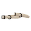 Dog Waterproof Collar - Beige