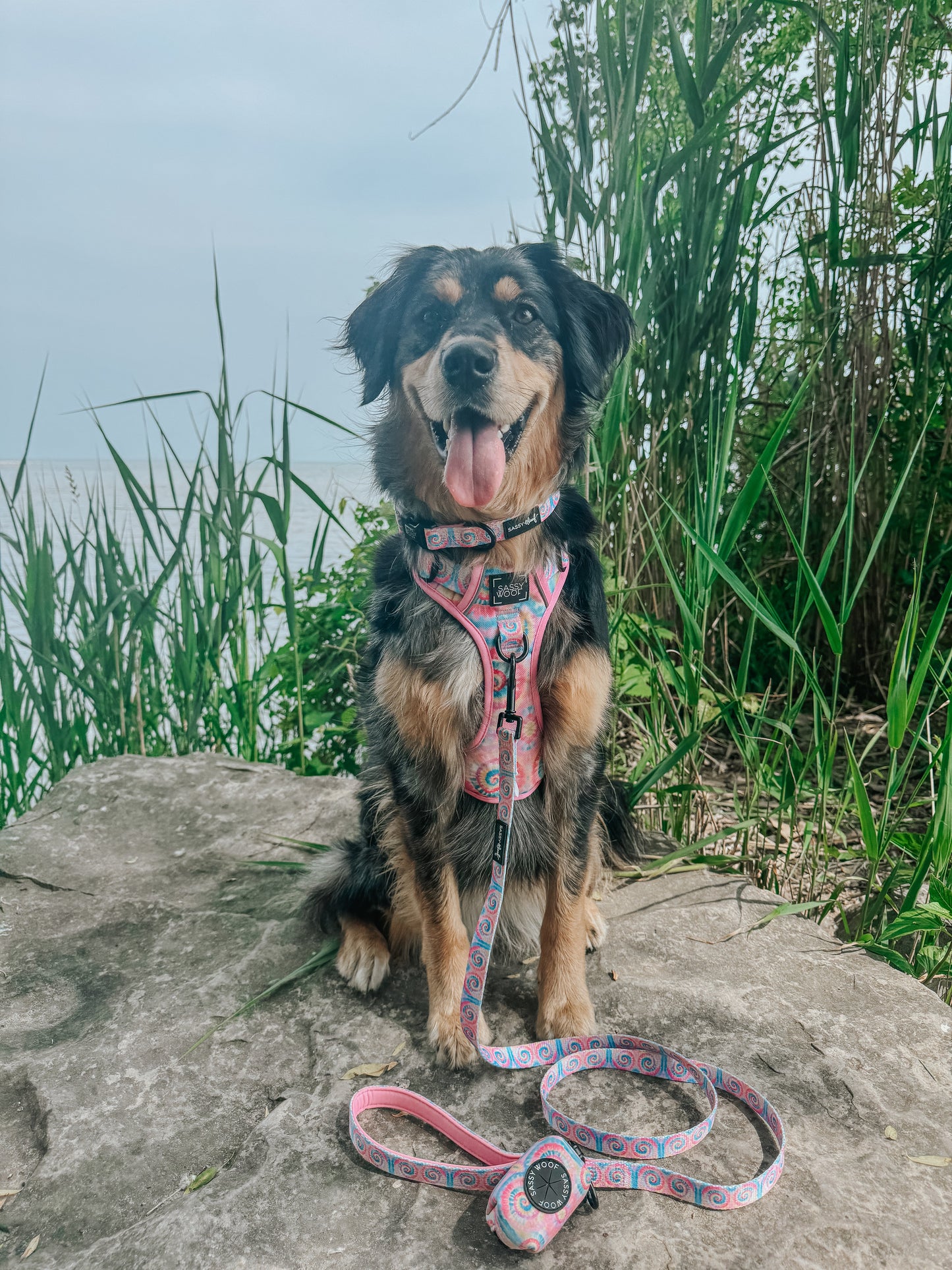 Dog Leash - Good Vibes