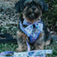 Dog Adjustable Harness - Kuromi™