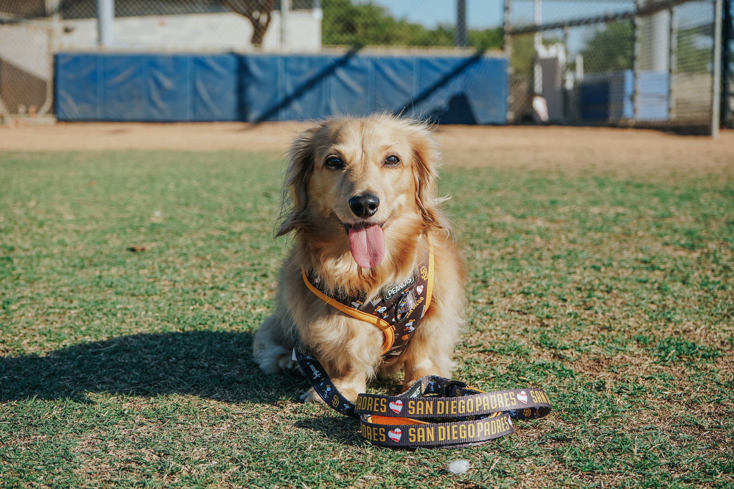 Dog Adjustable Harness - MLB™ x Peanuts™ San Diego Padres™