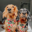 Dog Adjustable Harness - Apple of My Eye