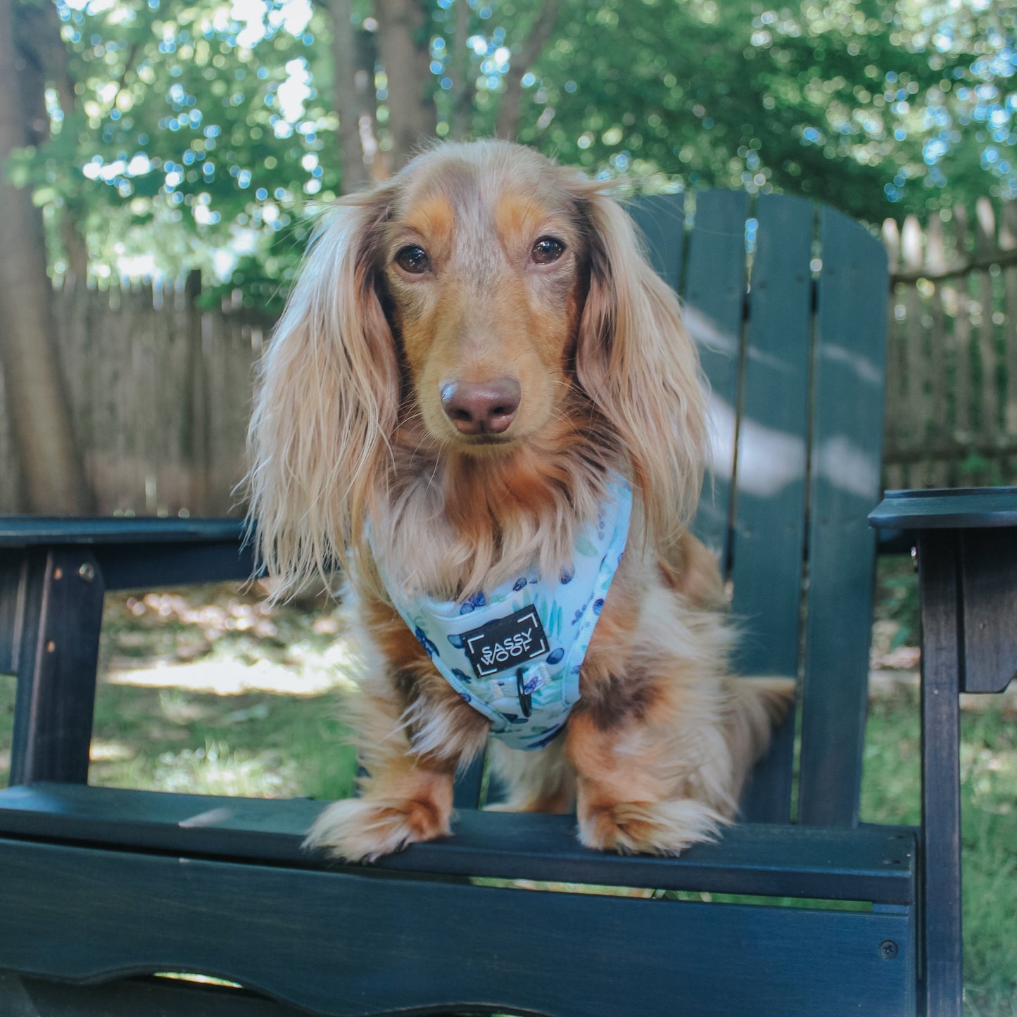 Dog Adjustable Harness - Berry Sassy