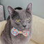 Cat Collar - Good Duck, Babe!