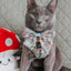 Dog Adjustable Harness - Shrooms & Blooms