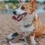 Dog Waterproof Leash - Beige