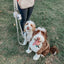 Dog Waterproof Leash - Beige