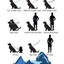 BioThane® Eurolead 8-Way Leash | Multi-Functional Hands-Free Leash *