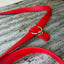 BioThane® Eurolead 8-Way Leash | Multi-Functional Hands-Free Leash *
