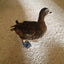 Birdy Bootie (chicken shoes, chicken booties, duck booties and goose shoes)