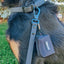 Dog Waterproof Leash - Black
