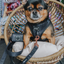 Dog Adjustable Harness - Baby Got Black