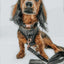 Dog Adjustable Harness - Baby Got Black