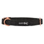 Dog Collar - Baby Got Black