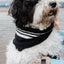 Cashmere Blend Scarf sets for Pets and their humans, Black and White